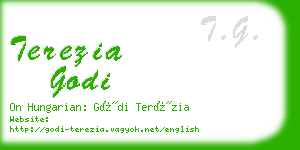 terezia godi business card